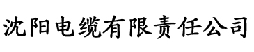 四虎影院精品免费观看电缆厂logo